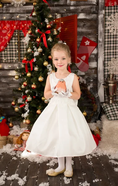 Bonito menina bonita jovem usa vestido de Natal. Ela tem um pouco. — Fotografia de Stock