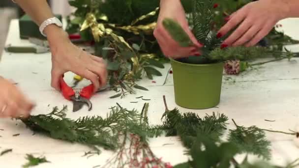 Eine wunderbare Komposition aus Baumwolle, Zapfen, Tannen, magischen Nelken und köstlichen Rosensorten. handgefertigt — Stockvideo