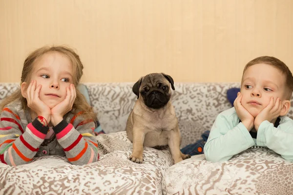 Lovely pug puppy and cute kids, watch TV