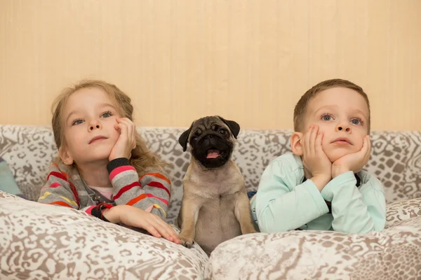 Lovely pug puppy and cute kids, watch TV — Zdjęcie stockowe