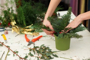 Harika kompozisyon pamuk, koniler, köknar, büyülü çeşitli karanfil ve lezzetli çeşitleri gül oluşturma. El yapımı