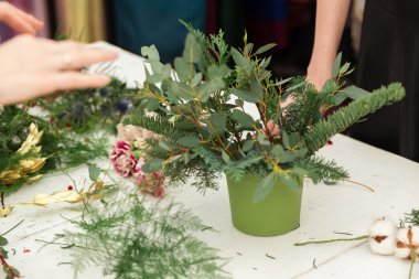 Harika kompozisyon pamuk, koniler, köknar, büyülü çeşitli karanfil ve lezzetli çeşitleri gül oluşturma. El yapımı