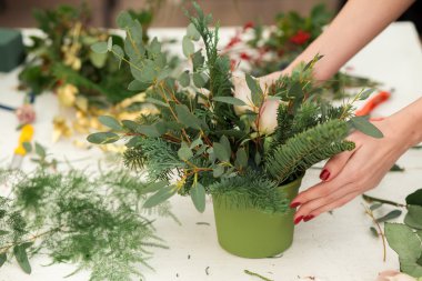 Harika kompozisyon pamuk, koniler, köknar, büyülü çeşitli karanfil ve lezzetli çeşitleri gül oluşturma. El yapımı