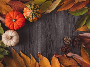 Solda üç balkabağı, sağda üç koni ve kenarlarda sonbahar yaprakları, ortada metin için boşluk, üst görünüm yakın çekim.