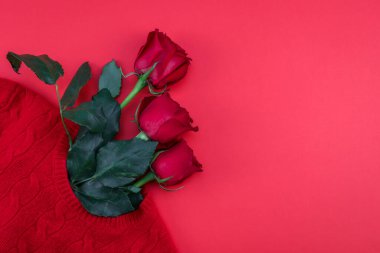 Red roses in a knitted sweater on the left on a red background with a place for text on the right, top view close-up.