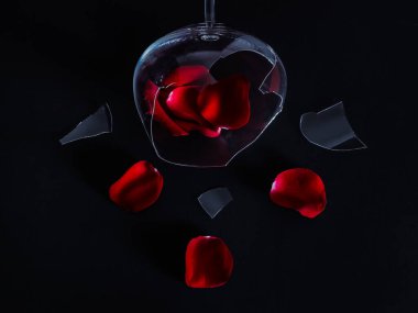 Broken glass and rose petals with shards lie in the middle on a black background, close-up top view.