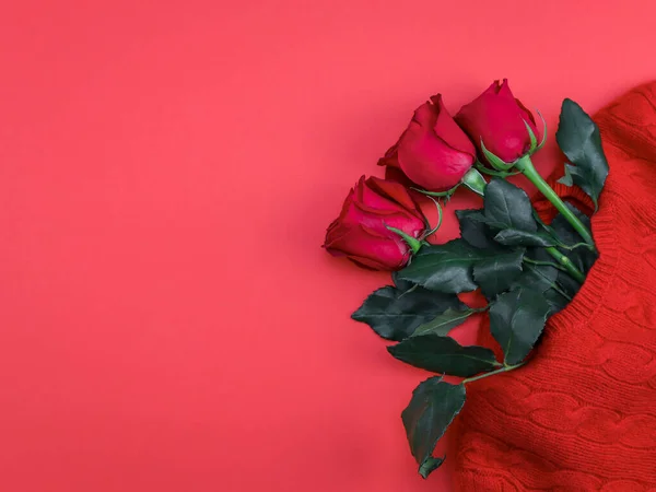 Троянди Светр Лежать Праворуч Червоному Тлі Пробілом Тексту Зліва Вид — стокове фото