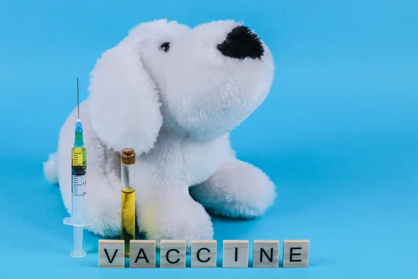 Syringe, toy dog and the word vaccine on a blue background, close-up side view.