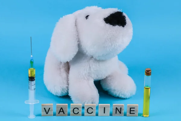 Teddy Hund Med Spruta Provrör Och Ordet Vaccin Blå Bakgrund — Stockfoto