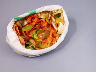 Biyolojik atık soldaki gri arkaplanda bir torba içinde, sağda metin için bir yer, yakın çekim yan görünümü var..