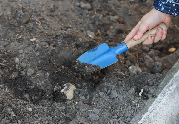 Bir çocuğun eli yere bir kürek yerleştirir, sol tarafta yazı için yer vardır, yakın plan yan görünüm için..