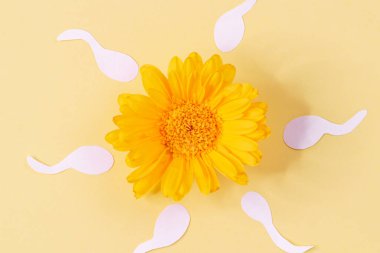Etrafında sarı bir zemin üzerinde güneş şeklinde, kağıt kesiği olan bir çiçek, yakın plan..