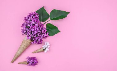 Waffle külahlarında leylak çiçekleri solda pembe bir zemin üzerinde uzanıyor, sağda metin için yer var, üstte yakın plan..