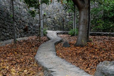 Atmosferik dolambaçlı taş bir yolun eski taş bir duvara ve kapalı bir kapıya uzanan güzel bir manzarası. Yol ağaçlarla çevrili ve zemin düşen sonbahar yapraklarıyla kaplı. Yan görüş, orta boy..