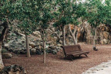 Bir sonbahar günü, ağaçlar ve kayalık manzarayla çevrili bir bahçede, güzel, geleneksel, kahverengi bir ahşap bank, yan görüş, orta çekim. Kavram: Doğada rahatlama için tenha bir yer.