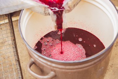 Pembe, köpüklü, koyu kırmızı üzüm suyu köpüğünün kırsal bir arka bahçede bir sonbahar gününde öğütücüden diş minesi kabına akışının güzel bir görüntüsü. Dikey yukarıdan aşağıya, seçici odaklı yakın çekim. Kavram: Geleneksel şarap yapımı.