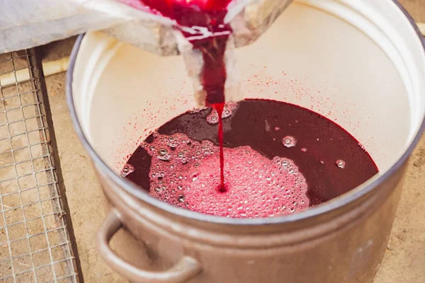 Pembe, köpüklü, koyu kırmızı üzüm suyu köpüğünün kırsal bir arka bahçede bir sonbahar gününde öğütücüden diş minesi kabına akışının güzel bir görüntüsü. Dikey yukarıdan aşağıya, seçici odaklı yakın çekim. Kavram: Geleneksel şarap yapımı.