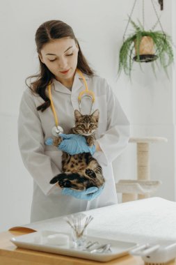 Beyaz önlüklü, mavi eldivenli ve boynunda sarı steteskoplu genç bir beyaz kız veteriner. Her iki elinde de kameraya bakan bir yavru kedi var. Gün boyunca ev ofisinde dikiliyor. Konsept