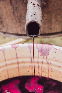 Güneşli bir sonbahar gününde, şarap makinesinden kırsal bir evin arka bahçesindeki bir tavaya akan ince sıkılmış üzüm suyunun dikey, tepeden tırnağa, yakın çekim görüntüsü. Geleneksel şarap yapma konsepti.