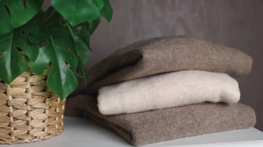 Yumuşak, ince, doğal keçi yününden yapılmış süveterler, beyaz bir gardıropta, tencerede yeşil bir çiçeğin yanında, akşamları, yan görünüşü yavaş çekimde. Kadın giyimi konsepti, yeni koleksiyon, çevre dostu.