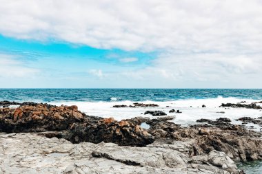 Atlantik Okyanusu 'ndaki bir adanın volkanik kayalık kıyı şeridini bulutlu bir sonbahar gününde köpüren sakin dalgalarla, yakın çekim manzarasıyla güzel bir panoramik manzara. Güzel doğa arka planlarını ve duvar kağıtlarını kavra.