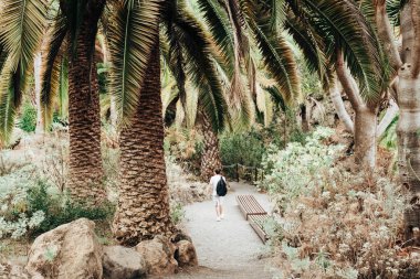Sırt çantalı, açık renk elbiseli beyaz bir adam, bir sonbahar günü, bir adada, bir milli parkta palmiye ağaçları ve yoğun egzotik bitki örtüsüyle çevrili bir arazide yürüyor. Kavram: doğa yürüyüşü.