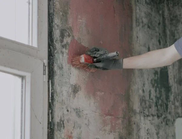 Eldivenli tanınmayan genç bir adam kirli bir duvara fırçayla kırmızı çimento sürüyor. Küflü lekeler, yakın çekim. Ev tadilatı ve inşaat işi kavramı.