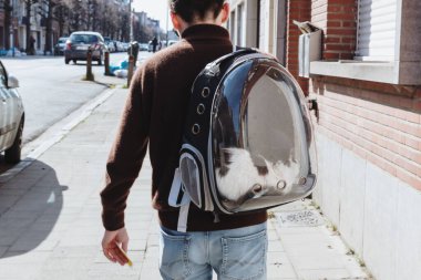 Sırtında şeffaf bir sırt çantası, güneşli bir bahar günü, yan görüş, yakın çekim ile şehir caddesinde siyah ve beyaz bir kediyle yayan yürüyen arkadan görünüşlü genç beyaz adamın portresi. İnsan ve kedi kavramı, evcil hayvan gezisi zamanı.