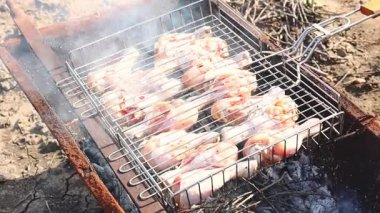 Metal bir ızgarada marine edilmiş çiğ tavuk bacağı, güneşli bir yaz gününde, bir bahçe köyünün sebze bahçesinde, kömürlerin üzerinde eski paslı bir yalakta kızartılıyor. Barbekü zamanı, köy pikniği.