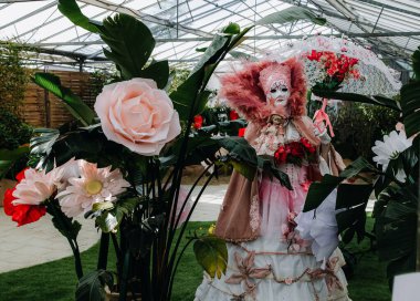 Dilbeek, Grand Bigard Şatosu, Belçika - 27 Nisan 2025: Pembe renkli Venedikli kadın portresi tüyleri ve şemsiyeli açık hava şemsiyesi Floralia Brüksel 'in son haftasonu boyunca bitkiler arasında yer almaktadır.