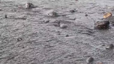 Tenerife 'de bir sonbahar günü, siyah bir volkanik çakıl taşının kıyılarına çarpan köpüklü dalgaların güzel atmosferik görüntüsü, yavaş çekim ile yakın çekim. Konsept: volkanik plajlar, tatil zamanı.