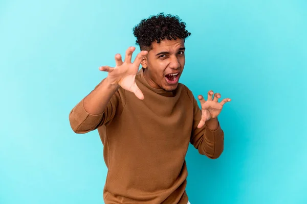 Young African American Curly Man Isolated Blue Showing Claws Imitating — Stock Photo, Image