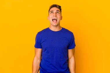 Genç, yakışıklı, beyaz bir adam izole edilmiş bağırıyor çok kızgın, öfkeli, hayal kırıklığına uğramış.