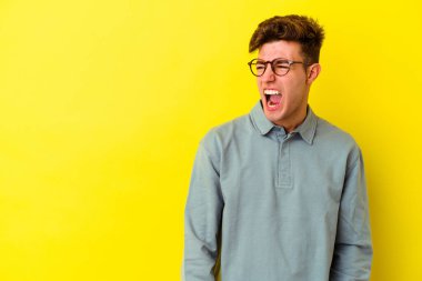Sarı arka planda izole edilmiş genç beyaz bir adam çok kızgın, öfkeli, hayal kırıklığına uğramış diye bağırıyor..