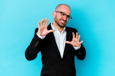 Genç beyaz tenli kel adam mavi arka planda izole edilmiş gergin elleriyle çığlık atıyor..