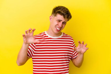 Sarı arka planda izole edilmiş genç beyaz adam pençelerini kedi taklidi yaparken gösteriyor, agresif bir hareket..