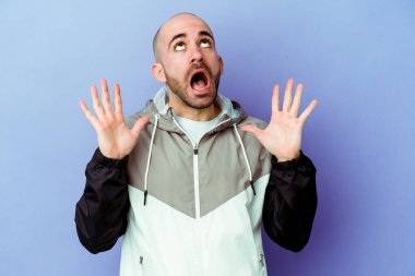 Kafkasyalı kel adam mor arka planda izole edilmiş gökyüzüne haykırıyor, yukarı bakıyor, hayal kırıklığına uğramış..