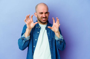 Mor arka planda izole genç, beyaz kel bir adam pençelerini kedi taklidi yaparken gösteriyor, agresif bir hareket..