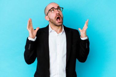 Genç, beyaz, kel bir adam mavi arka planda izole edilmiş, gökyüzüne haykırıyor, yukarı bakıyor, hayal kırıklığına uğramış..