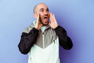 Mor arka planda izole edilmiş beyaz kel bir adam heyecanlı bir şekilde bağırıyor..