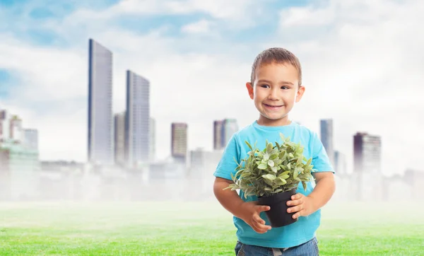 Little boy holding plant — Stock Photo, Image