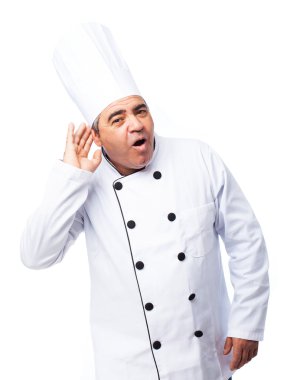 Bir aşçı adam portresi