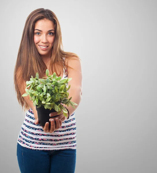 Girl holding a plant — Stock Photo, Image