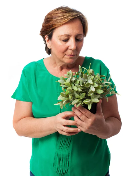 Femme prenant soin d'une plante — Photo