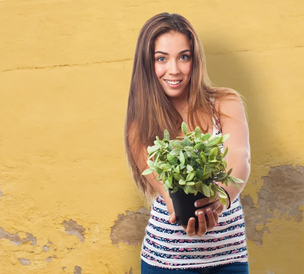 Girl holding a plant — Stock Photo, Image