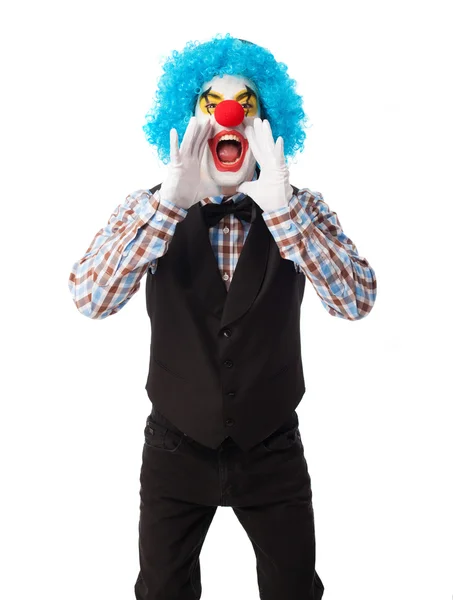 Retrato de un payaso divertido — Foto de Stock