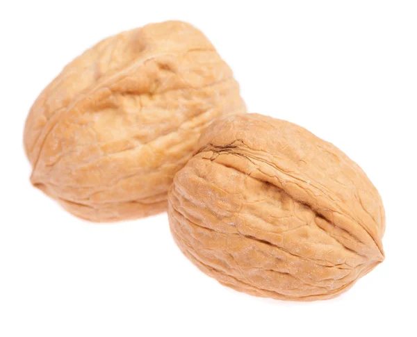 Pair of walnuts isolated — Stock Photo, Image