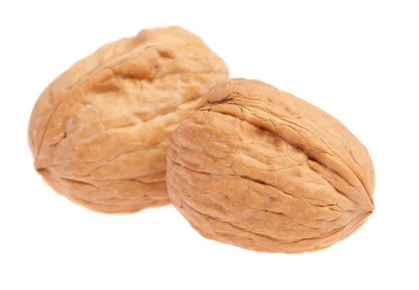 Pair of walnuts isolated — Stock Photo, Image