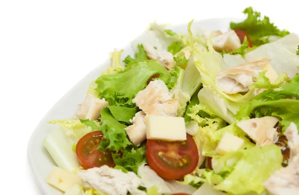 Verse kippensalade — Stockfoto