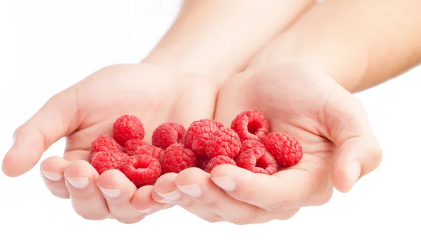 Group of raspberries in hands — Stock Photo, Image